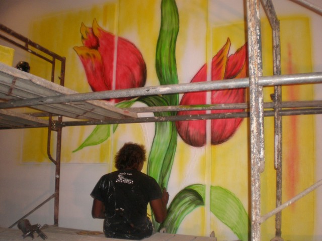 Decorative Ceilings & Special Effects completed job photo